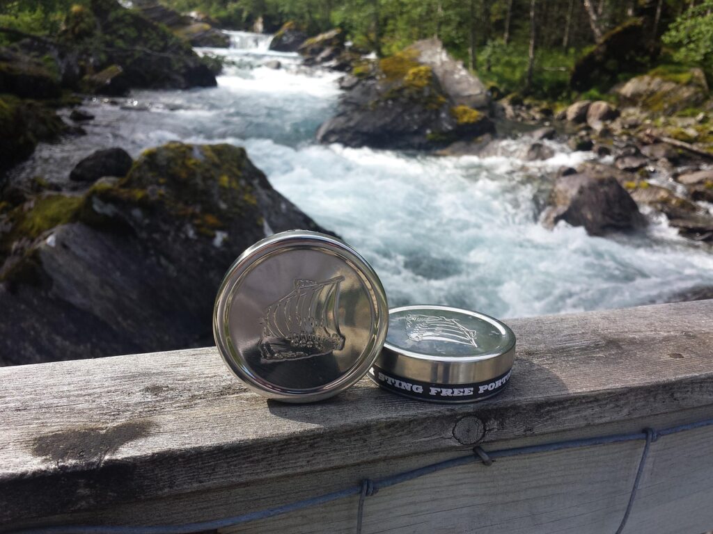 nicotine pouch brands compared snus